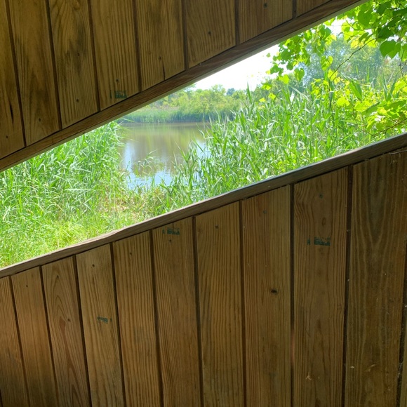 Meet your Posher, Kelly - Picture 4 of 8